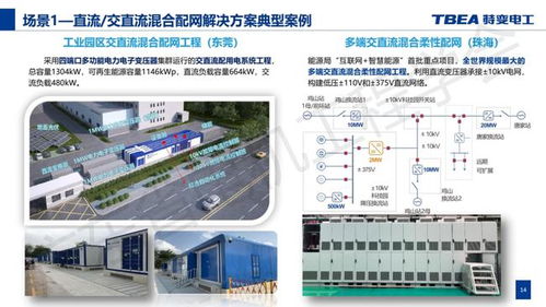 黃浪 新型電力系統配電網電力電子化解決方案探索與實踐
